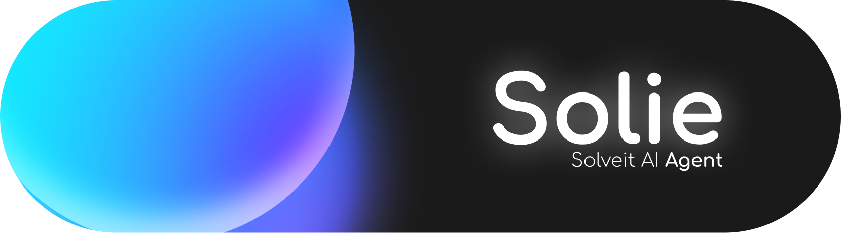 Solie를 소개합니다.